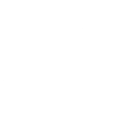 seguridad